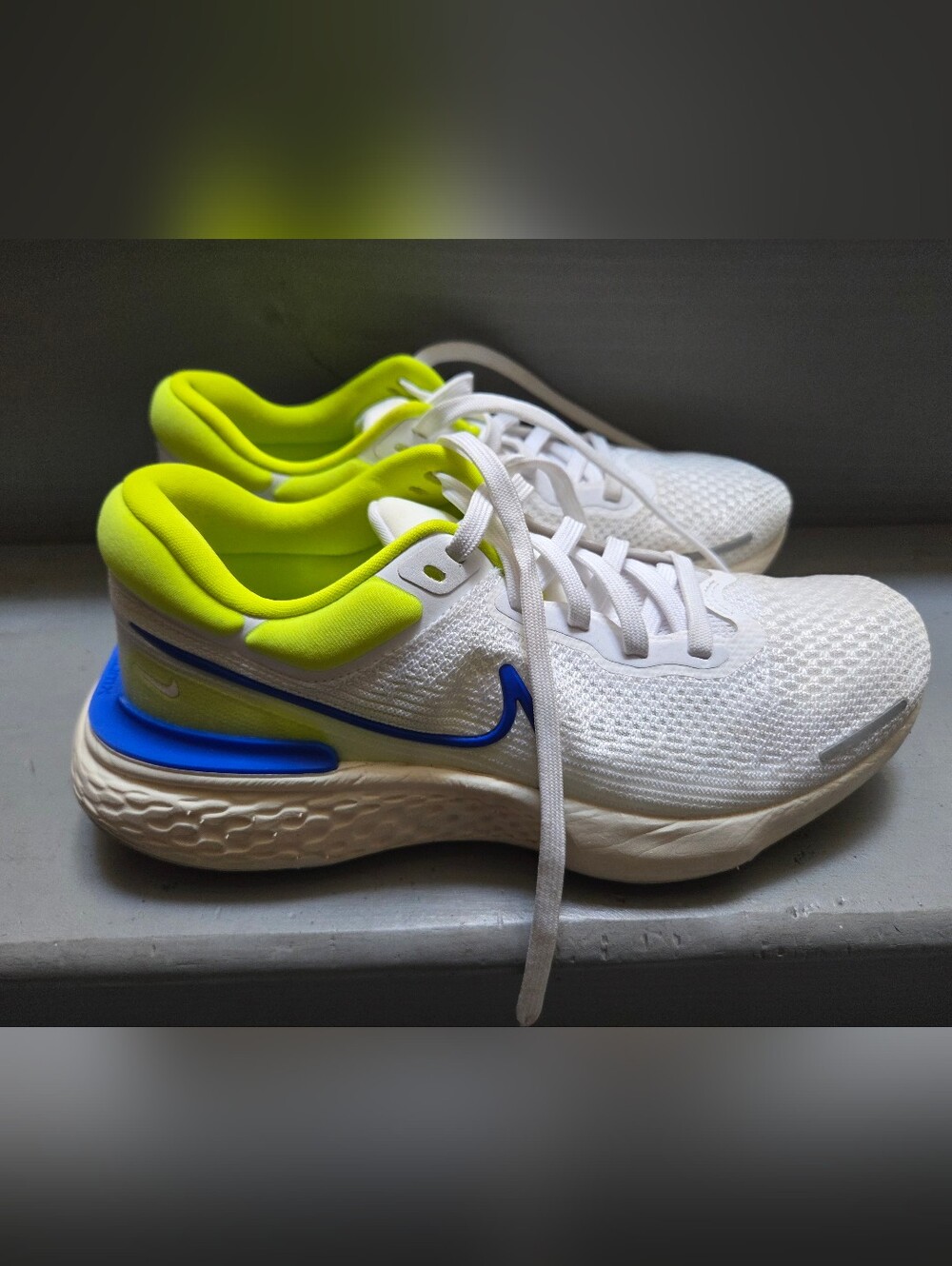 Nike ZoomX Invincible Run CT2228-101